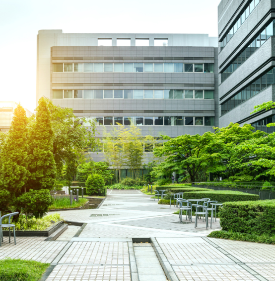 Untitled design (37)